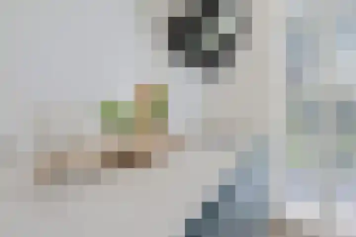 Vlaserf 24 Hoef en Haag thumbnail 9