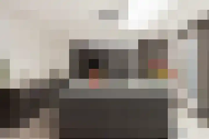 Vlaserf 8 Hoef en Haag thumbnail 11