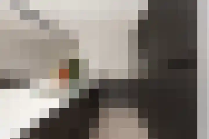 Vlaserf 8 Hoef en Haag thumbnail 12
