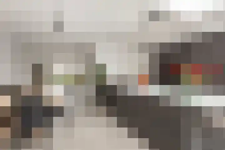 Vlaserf 8 Hoef en Haag thumbnail 13