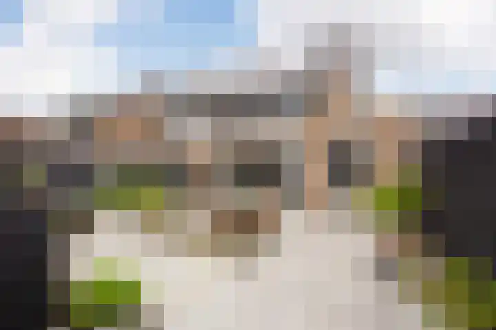 Vlaserf 8 Hoef en Haag thumbnail 14