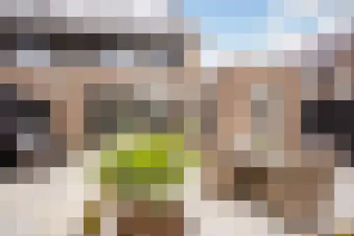 Vlaserf 8 Hoef en Haag thumbnail 15