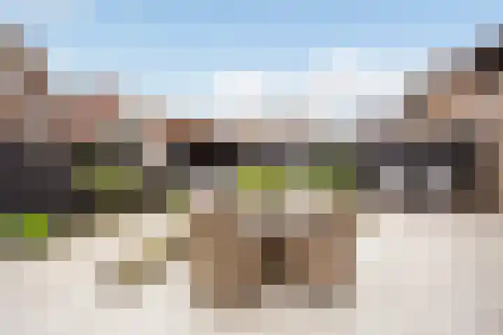 Vlaserf 8 Hoef en Haag thumbnail 16
