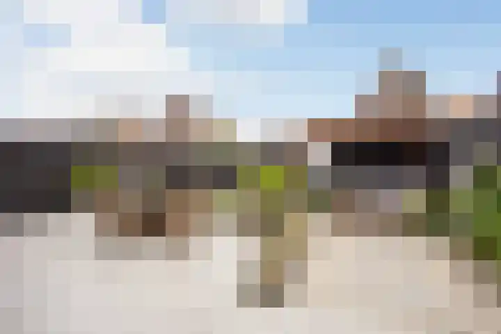 Vlaserf 8 Hoef en Haag thumbnail 17