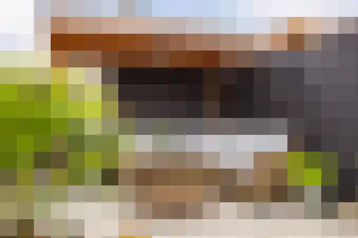 Vlaserf 8 Hoef en Haag thumbnail 18
