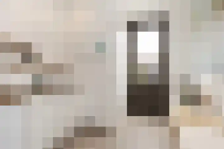 Vlaserf 8 Hoef en Haag thumbnail 23