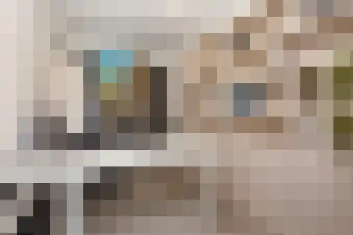 Vlaserf 8 Hoef en Haag thumbnail 24
