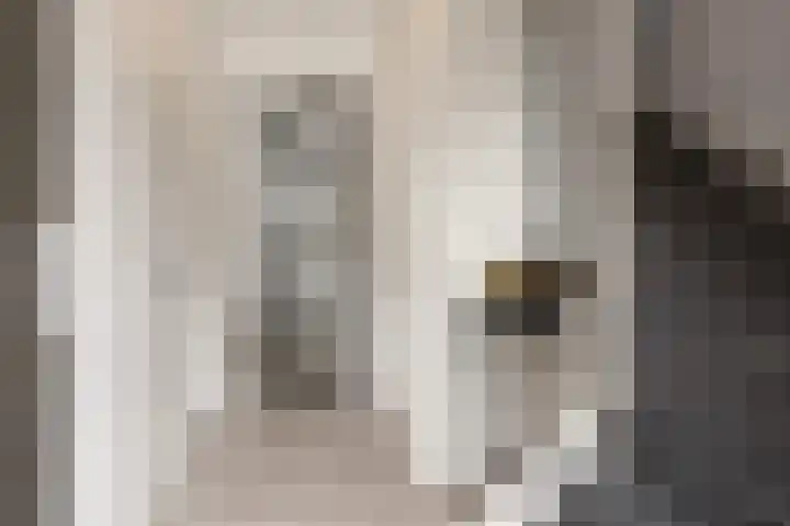 Vlaserf 8 Hoef en Haag thumbnail 27