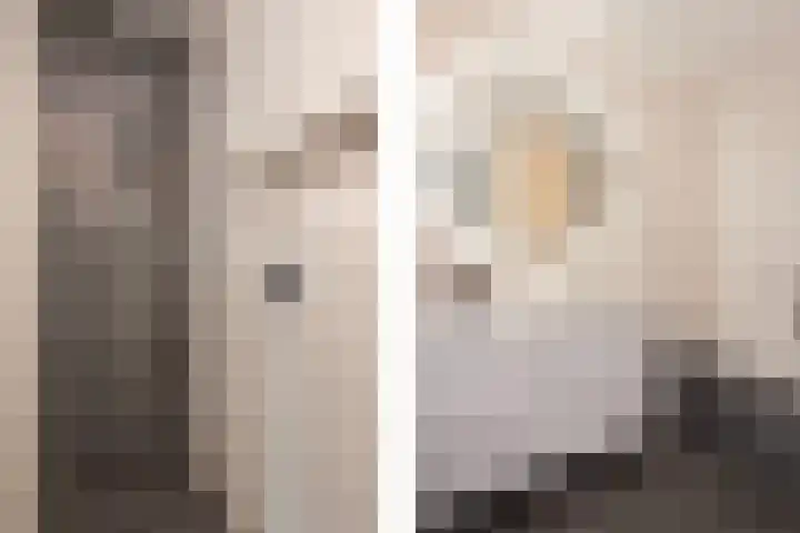 Vlaserf 8 Hoef en Haag thumbnail 28