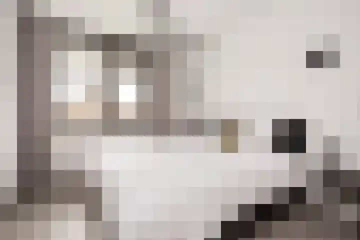 Vlaserf 8 Hoef en Haag thumbnail 32