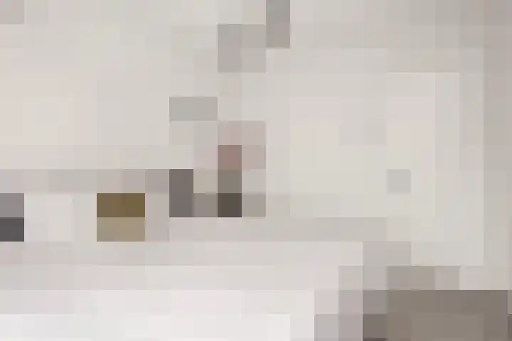 Vlaserf 8 Hoef en Haag thumbnail 34