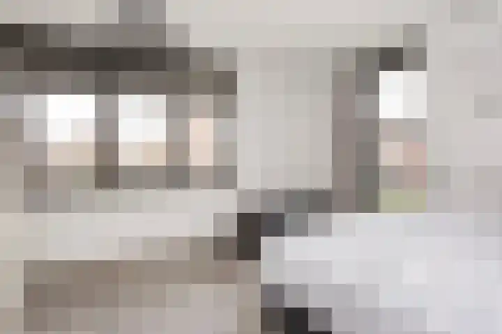 Vlaserf 8 Hoef en Haag thumbnail 35