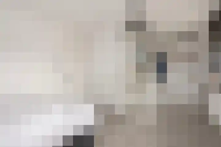 Vlaserf 8 Hoef en Haag thumbnail 36