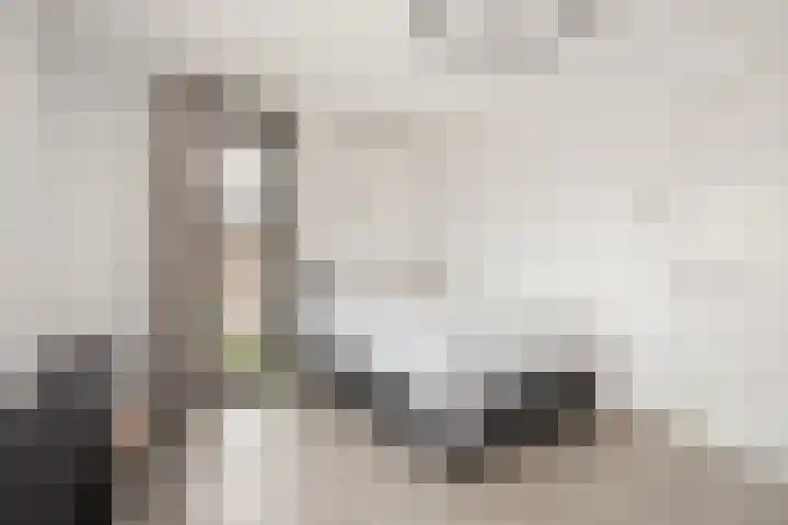 Vlaserf 8 Hoef en Haag thumbnail 37