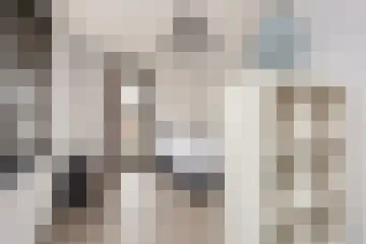 Vlaserf 8 Hoef en Haag thumbnail 38
