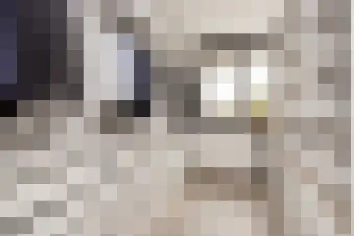 Vlaserf 8 Hoef en Haag thumbnail 39