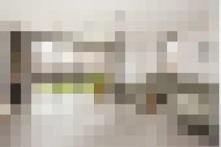Vlaserf 8 Hoef en Haag thumbnail 4