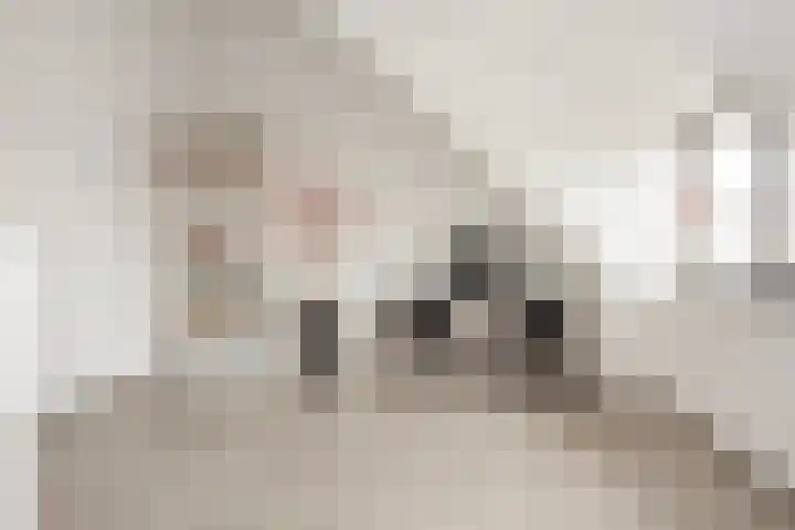 Vlaserf 8 Hoef en Haag thumbnail 45