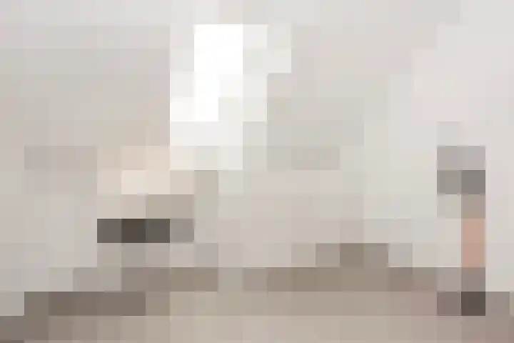 Vlaserf 8 Hoef en Haag thumbnail 47