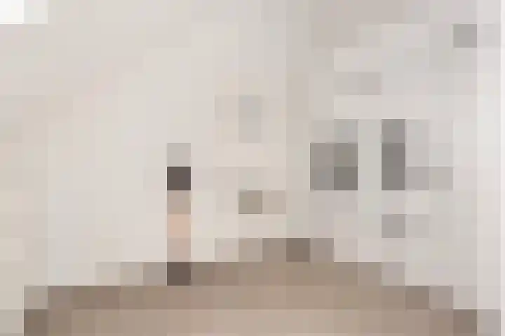 Vlaserf 8 Hoef en Haag thumbnail 48
