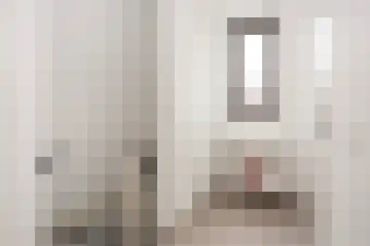 Vlaserf 8 Hoef en Haag thumbnail 49