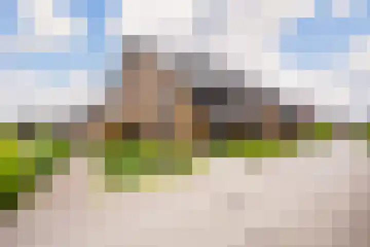 Vlaserf 8 Hoef en Haag thumbnail 50