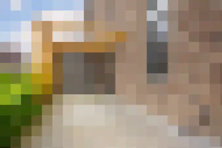 Vlaserf 8 Hoef en Haag thumbnail 51