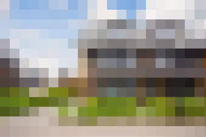 Vlaserf 8 Hoef en Haag thumbnail 52