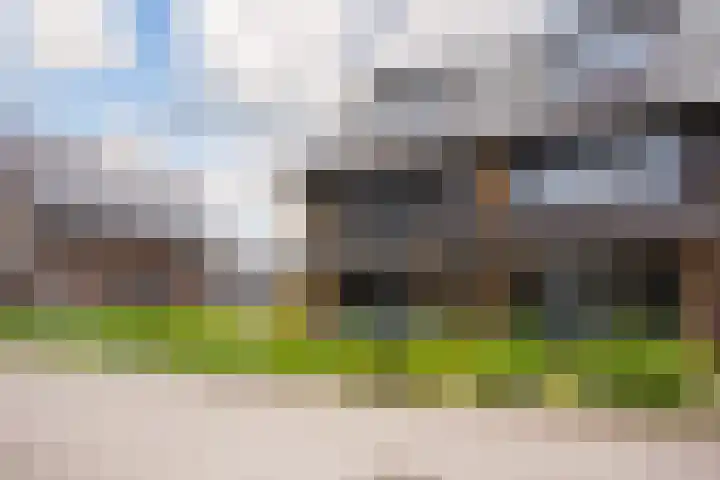 Vlaserf 8 Hoef en Haag thumbnail 53