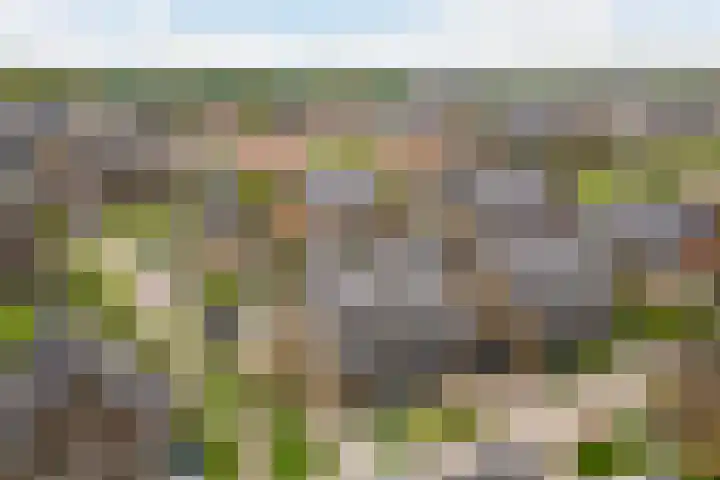 Vlaserf 8 Hoef en Haag thumbnail 54