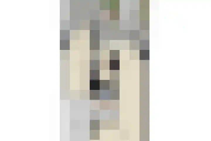 Vlaserf 8 Hoef en Haag thumbnail 59