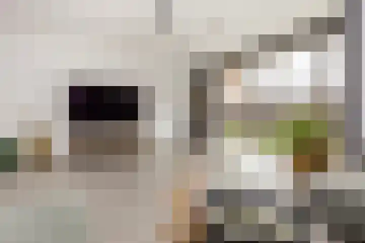 Vlaserf 8 Hoef en Haag thumbnail 6