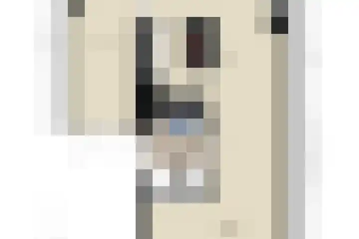 Vlaserf 8 Hoef en Haag thumbnail 60