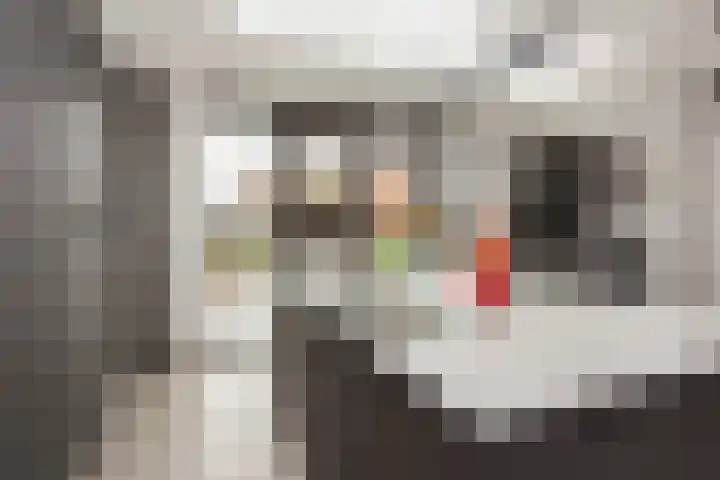 Vlaserf 8 Hoef en Haag thumbnail 9