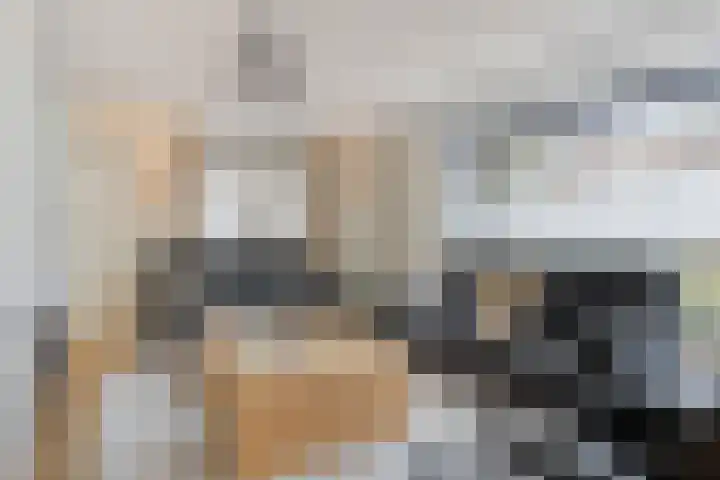 Vlasheuvel 18 Best thumbnail 10