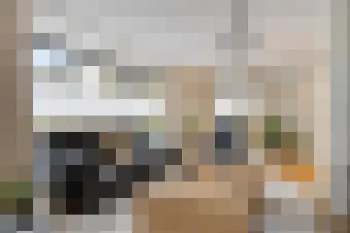 Vlasheuvel 18 Best thumbnail 11
