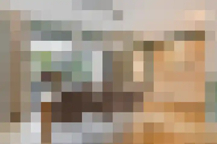 Vlasheuvel 18 Best thumbnail 18