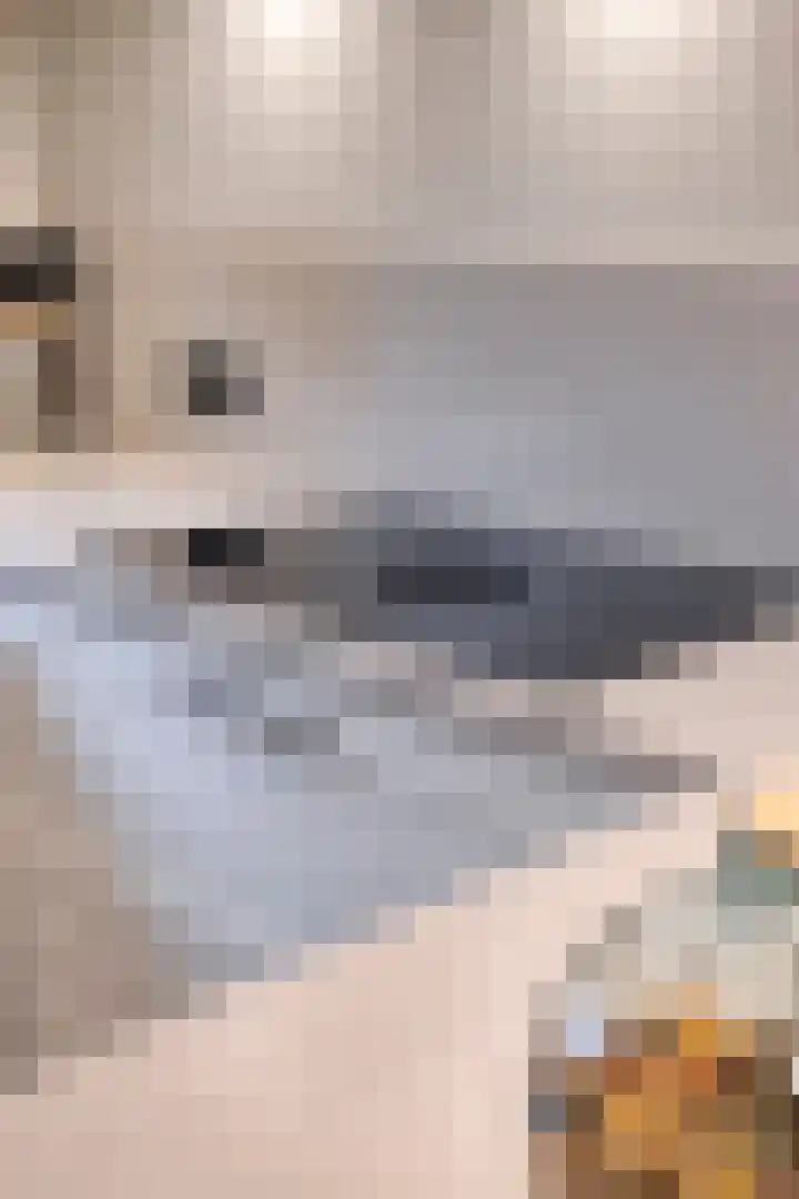 Vlasheuvel 18 Best thumbnail 23