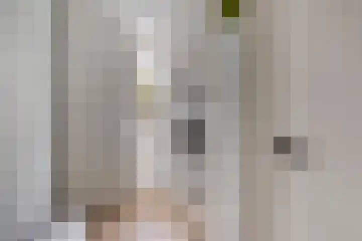 Vlasheuvel 18 Best thumbnail 25