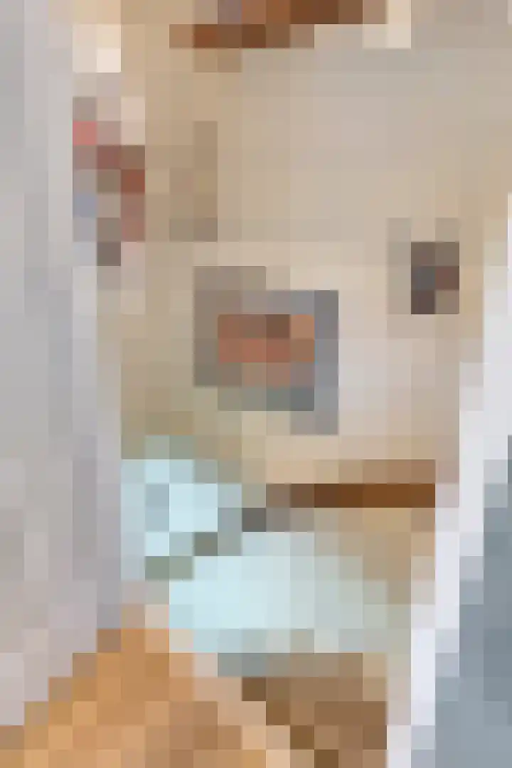Vlasheuvel 18 Best thumbnail 29