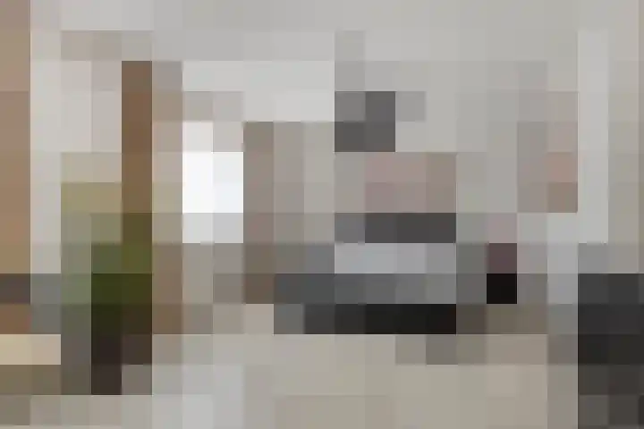 Vlasheuvel 18 Best thumbnail 33