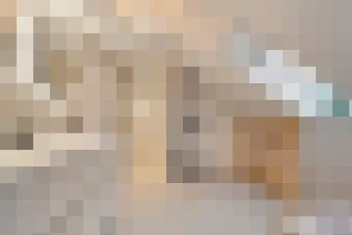 Vlasheuvel 18 Best thumbnail 35