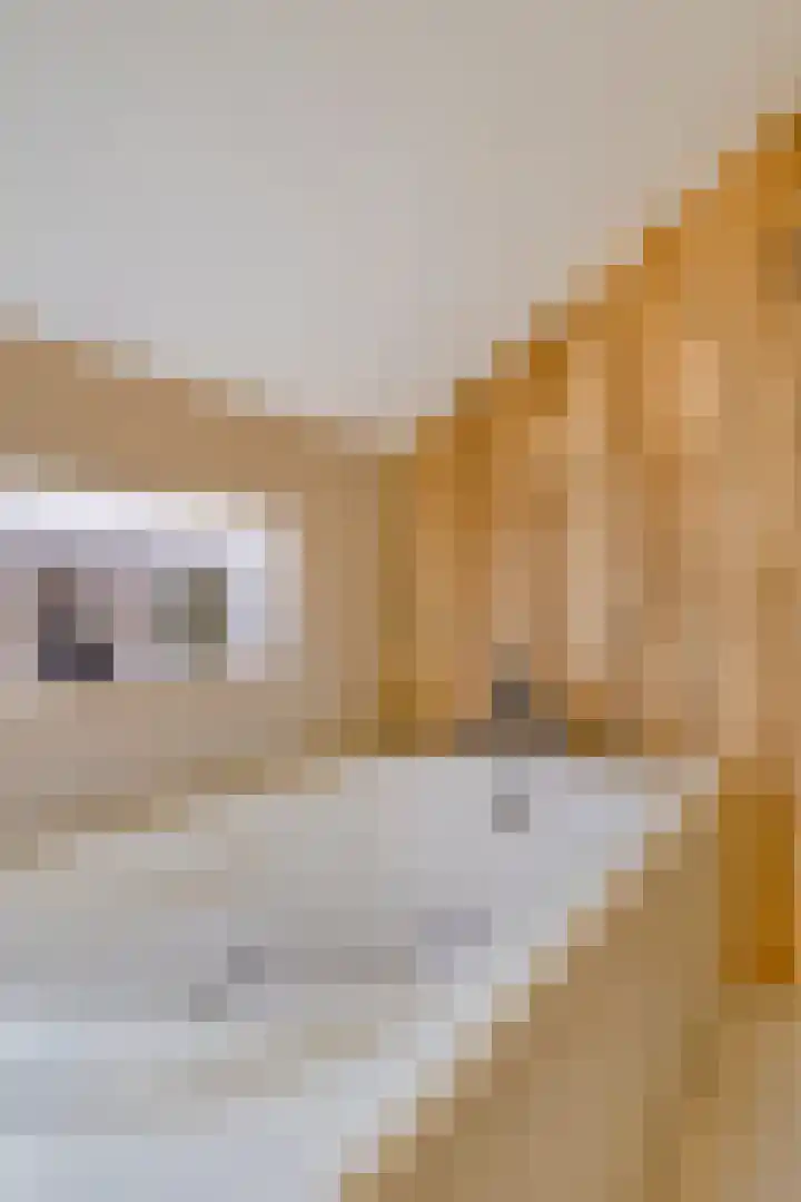 Vlasheuvel 18 Best thumbnail 37