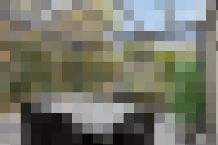 Vlasheuvel 18 Best thumbnail 4