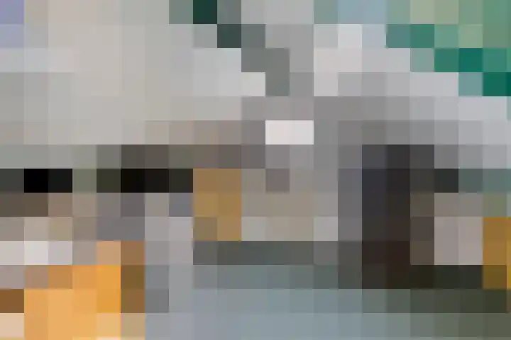 Vlasheuvel 18 Best thumbnail 47