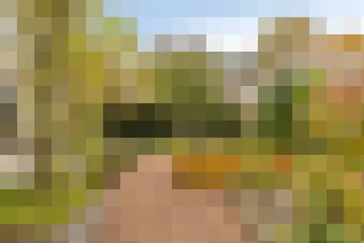 Vlasheuvel 18 Best thumbnail 53