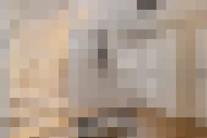 Vlasheuvel 18 Best thumbnail 7