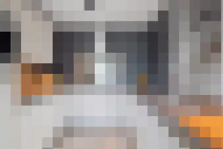 Vlashoek 15 Vught thumbnail 14