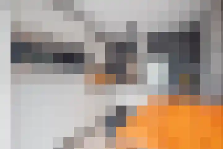 Vlashoek 15 Vught thumbnail 15