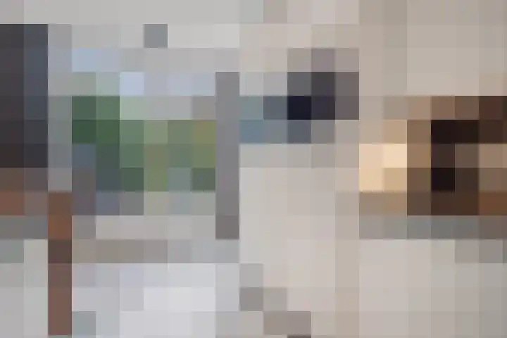 Vlashoek 15 Vught thumbnail 16